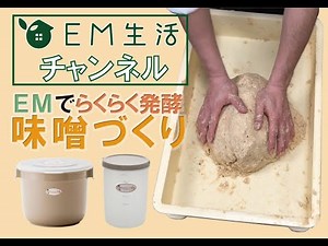 [Easy!] Easily make fermented miso using EM