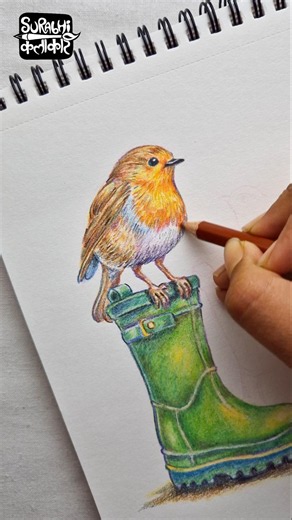 Do these ₹30 Pencil Colors work?! 😳 #surabhikalakar #art