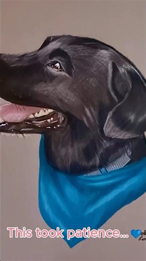 Photorealistic Black Lab Drawing 🖤