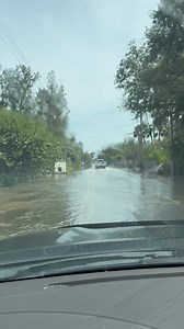 181K views · 339 reactions | Driving south on Midnight Pass towards Turtle Beach. Post Helene..lots of water still on the roads #siestakey | Siesta Beach Report | Facebook
