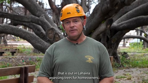 Duane Sparkman, Chairman of the Maui County Arborist Committee, explains the markings on trees within the Lahaina burn zone. The blue dots are the most recent markings from contractor Dawson, composed of professional, local arborists who understand tropical trees. “When you see the blue dot, that means they've been there,” says Sparkman. “If you see the blue arch with orange tags that means that tree will not survive and is slated for removal.” Tree removal will occur during the debris removal p
