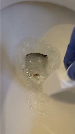 How to Clean Toilet Stains | Easy Solution for Lime Build-Up #Shorts