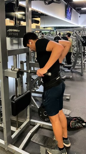 Dips Progression 2022-2024 #weightedcalisthenics #dips #goodform #practice #fyp #gym #exercise #triceps #workout #discipline #arms #chest