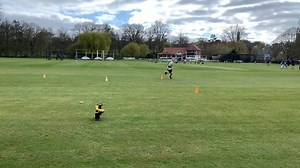 32 reactions |  The R66T Academy Ball Feeder Bundle will help you become a better batter and fielder! 2 x Ball Feeders ✅ 4 x Ball Feeder Spirals ✅ 4 x Sets of Feeder Balls ✅ 1 x Technique Training Bat ✅ Click the link to buy online  https://tinyurl.com/yku8zs93  #r66tacademy | The Root Academy | Facebook