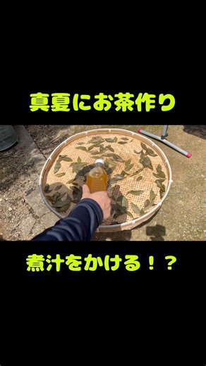 真夏でもできるお茶づくり【煮汁をかける！？】