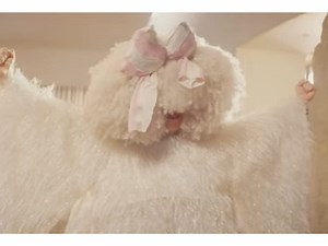 Sia releases 'Gimme Love' music video