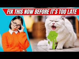 The Real Reason Your Cat Keeps Throwing Up (And How to Help!)