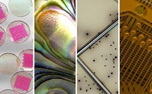 [中英字幕]MIT 0.111x 制作科学和工程图片:展示作品的实用指南