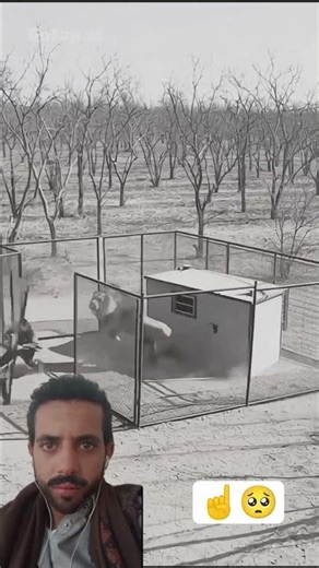 إذا أراد الله النجاة… توقفت أقوى الأخطار بلا سببٍ يُرى#video ​#youtubeshorts