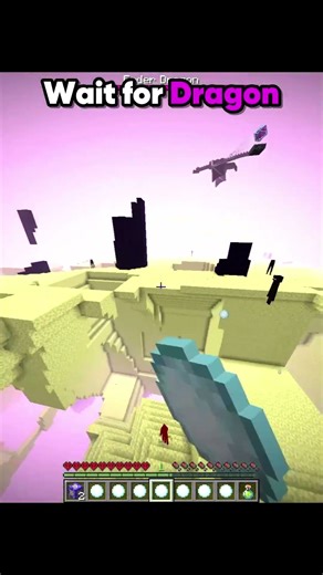 Ender Dragon Fear This Command☠️