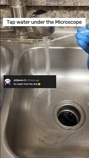 Tap Water Under the Microscope