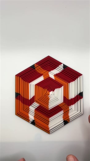 3D printed optical illusions are so cool! #3dprinting #3dprint #3dprinted #3dprinter #opticalillusion