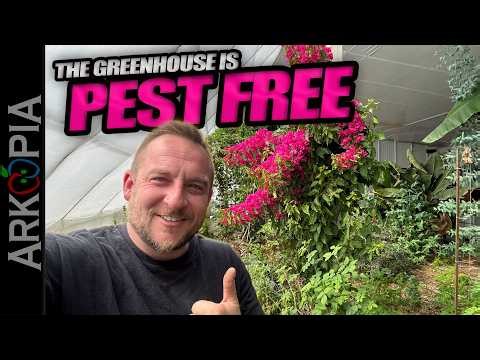 🪰Pest Free Greenhouse - Completely & Naturally rid your greenhouse of pests