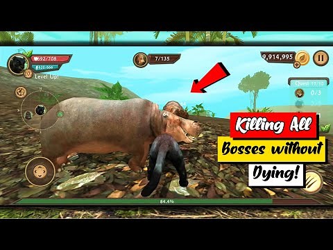 Wild Panther Sim 3D | Killing All the Bosses without dying!