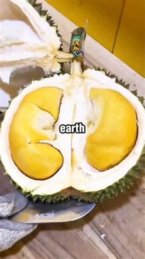 Top 5 Most Unusual Fruits in the World