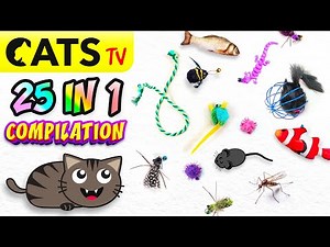 CATS TV 📺 25 GAMES IN 1 🦎 Ultimate Compilation 😻 3D SOUND 🔊 (GAME FOR CATS)