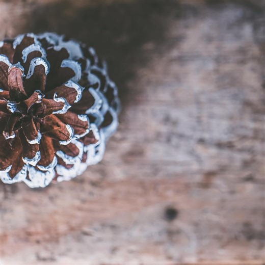 Demain au Bastide, La Savoie s'invite au Restaurant A Vos Fourchettes !!! | Le Bastide | Facebook