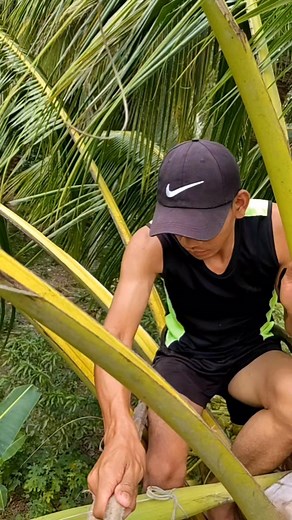 Sa wala ka relate mao ni kalisod mag set up sa camera babaw sa lubi mga idol. #reelsvideoシ #highlights #coconut | Juliemer's Vlogs