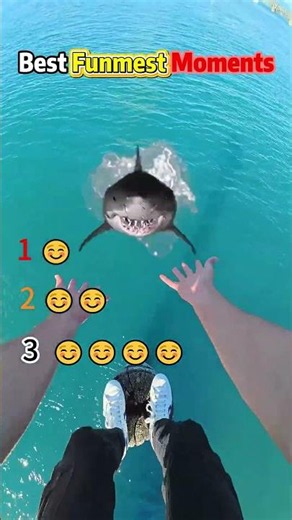 This is so funny, l couldn't stop laughing #funny #doddlersoftiktok #funnyvideos #duet #foryou