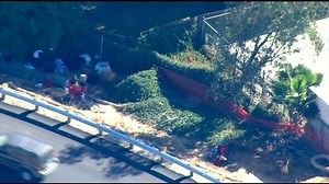 Dog bites CHP officer at homeless encampment in El Cajon