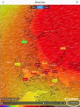 How to use Observations - PredictWind App