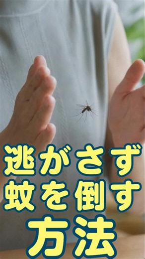 Mosquito Control! Simple Ways to Kill Mosquitoes: Tips and Tricks to Get Rid of Them Without Lett...
