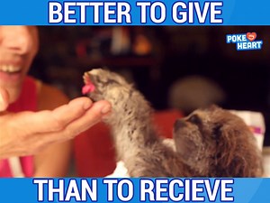68K views · 1.7K reactions | Wise advice from a sloth: | Poke My Heart | Facebook