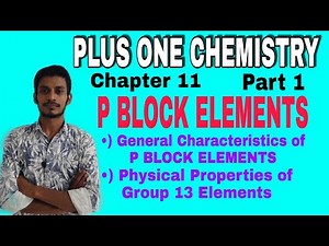 Inert Pair Effect | P BLOCK ELEMENTS | Plus One Chemistry Chapter 11 Part 1 |General Characteristics