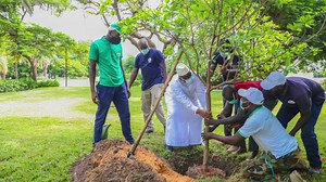 7K views · 464 reactions | Le Président Macky Sall a planté ce vendredi un sapotier, espèce tropicale qui vient ainsi étoffer la richesse du jardin présidentiel. Le chef de l'Etat invite les Sénégalais à intensifier les campagnes de reboisement pour reverdir le pays. | Présidence de la République du Sénégal | Facebook