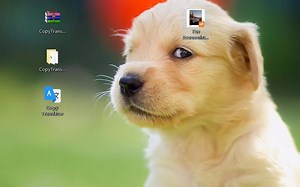 Copytranslator 复译 高容错率实时翻译软件 简约生活干货铺