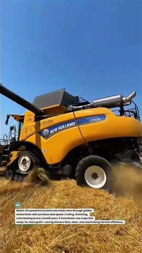 Mega Wheat Harvest Beast in Action 🚜🌾 #Harvesting #CombineHarvester #Farming