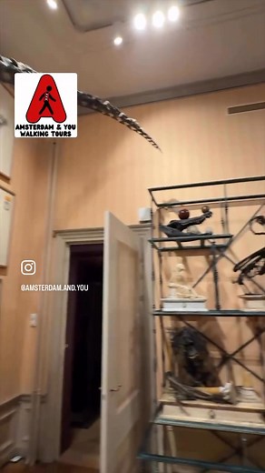 1.6K views | The new and wonderful Art Zoo Museum. This museum uses real, preserved animals in natural scenes inspired by the Dutch Masters. Is it a zoo or art gallery? | Amsterdam and You Walking Tours | Facebook