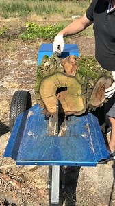 🌳Acacia log. 🪵Double deck. Kinetic splitter 🪓#firewood #woodworking | Isabelle Thompson