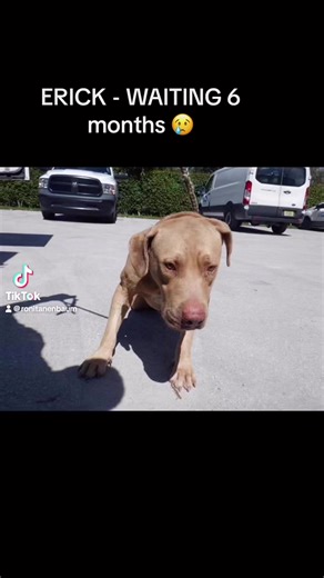 26 reactions · 32 shares | ‼️MIAMI FL -POOR BOY HAS BEEN WAITING 6...