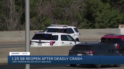 DPD: Person changing tire, killed by hit-and-run-I-25 driver as police seek info
