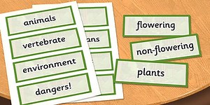 Year 4 Living Things and their Habitats Scientific Vocabulary Cards