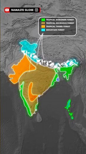 Types of Forests in India 🌳 | Indian Geography Map Animation | #Shorts