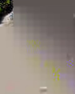 20K views · 447 reactions | ¿Tienes un gato angora?  ¿Sabías que esta es una de las razas más antiguas de gatos?  | Notas de Mascotas | Facebook