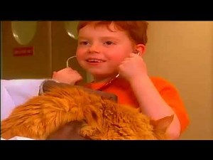 This Is Daniel Cook Visiting A Veterinarin