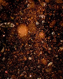 2.9K views · 533 reactions | As much an olfactory homage to the East as an invitation to join the most exquisite of journeys, Les Absolus d'Orient celebrate a universe where rich notes, bold scent and opulent materials meet. A complex expression of the Guerlain Perfumers' olfactory inspirations, each perfume in the collection conjures a sumptuous and enchanting world, leaving a vibrant memory imprinted on the skin. Discover Les Absolus d'Orient: bit.ly/3sawn2Z | Guerlain | Facebook