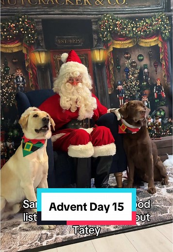 Ollie's Advent Calendar Day 15: Meeting Santa