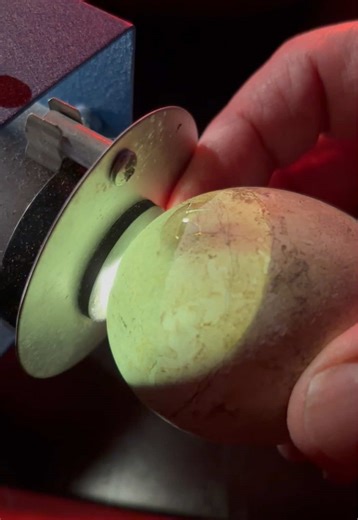 Ocio & Hubig’s African penguin egg has started to pip in Audubon Aquarium's Care Corner - when a chick begins breaking through its shell. Very soon we’ll welcome a penguin chick! 🥚 🐧 #penguinchick #penguin #aquarium #africanpenguins