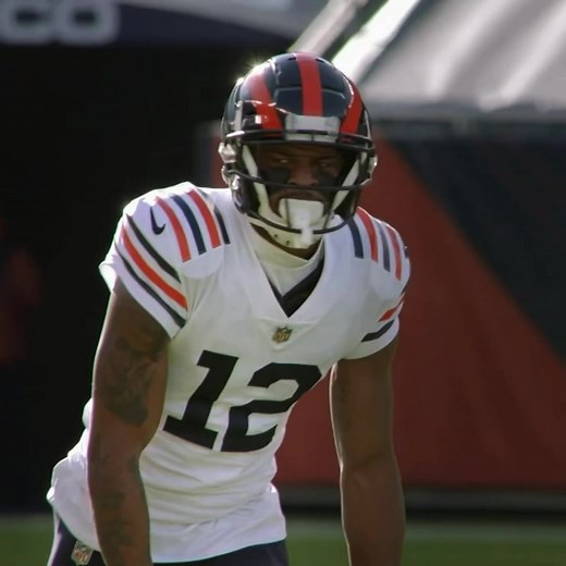 Allen Robinson: Remembering His Chicago Bears Era