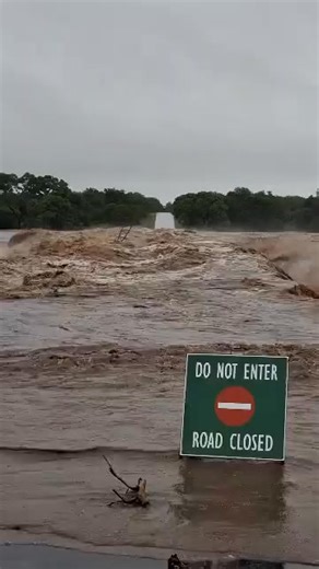 Kruger National Park Temporarily Closes to Day Visitors Due to Heavy Rainfall By Rea Gazette Reporter The Kruger National Park has announced that day visitors will not be allowed until further notice, following persistent heavy rainfall across Limpopo and Mpumalanga. Earlier this week, several day visitors were unable to exit the park after a bridge at Crocodile Bridge Gate became submerged due to rising river levels. All visitors were safely managed. #reagazette #reamediahouse | Rea Gazette