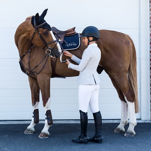 Difference Between A Jumping Saddle And A Dressage Saddle?