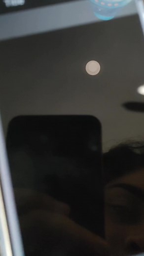 the ugliest little piglet you ever will see