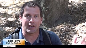 Mountain lion cubs caught on camera roaming around Orange County