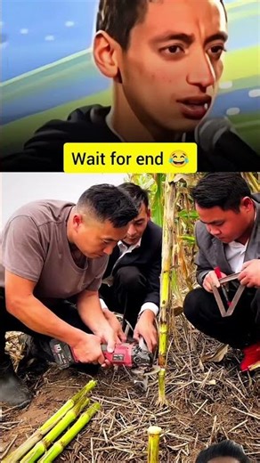 Perfection is must #funny #comedy #memes #shortsfeed #shortsviral