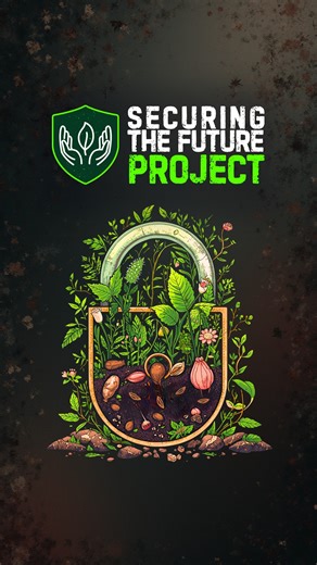 Stayin’ Alive… one seed at a time 🕺🎵 From desert daisies to tangled wattles, our 𝗦𝗲𝗰𝘂𝗿𝗶𝗻𝗴 𝘁𝗵𝗲 𝗙𝘂𝘁𝘂𝗿𝗲 𝗽𝗿𝗼𝗷𝗲𝗰𝘁 is hitting all the right notes to help Australia’s rare plants safe! Three seed banks joined forces to collect, research and grow 𝘁𝗲𝗻 𝘁𝗵𝗿𝗲𝗮𝘁𝗲𝗻𝗲𝗱 𝘀𝗽𝗲𝗰𝗶𝗲𝘀, giving them a fighting chance for the future. 🤝 This work was supported by the Australian Government’s 𝗦𝗮𝘃𝗶𝗻𝗴 𝗡𝗮𝘁𝗶𝘃𝗲 𝗦𝗽𝗲𝗰𝗶𝗲𝘀 𝗽𝗿𝗼𝗴𝗿𝗮𝗺. 🌱 📸 Thanks to the Australian