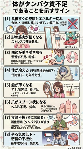【老化の正体】その不調、実は「タンパク質不足」かも？体が出している12の危険信号と、細胞から若返る最強の摂取術